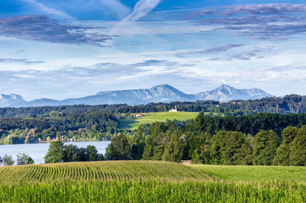 Landhaus Tanner Waging am See Eksteriør bilde